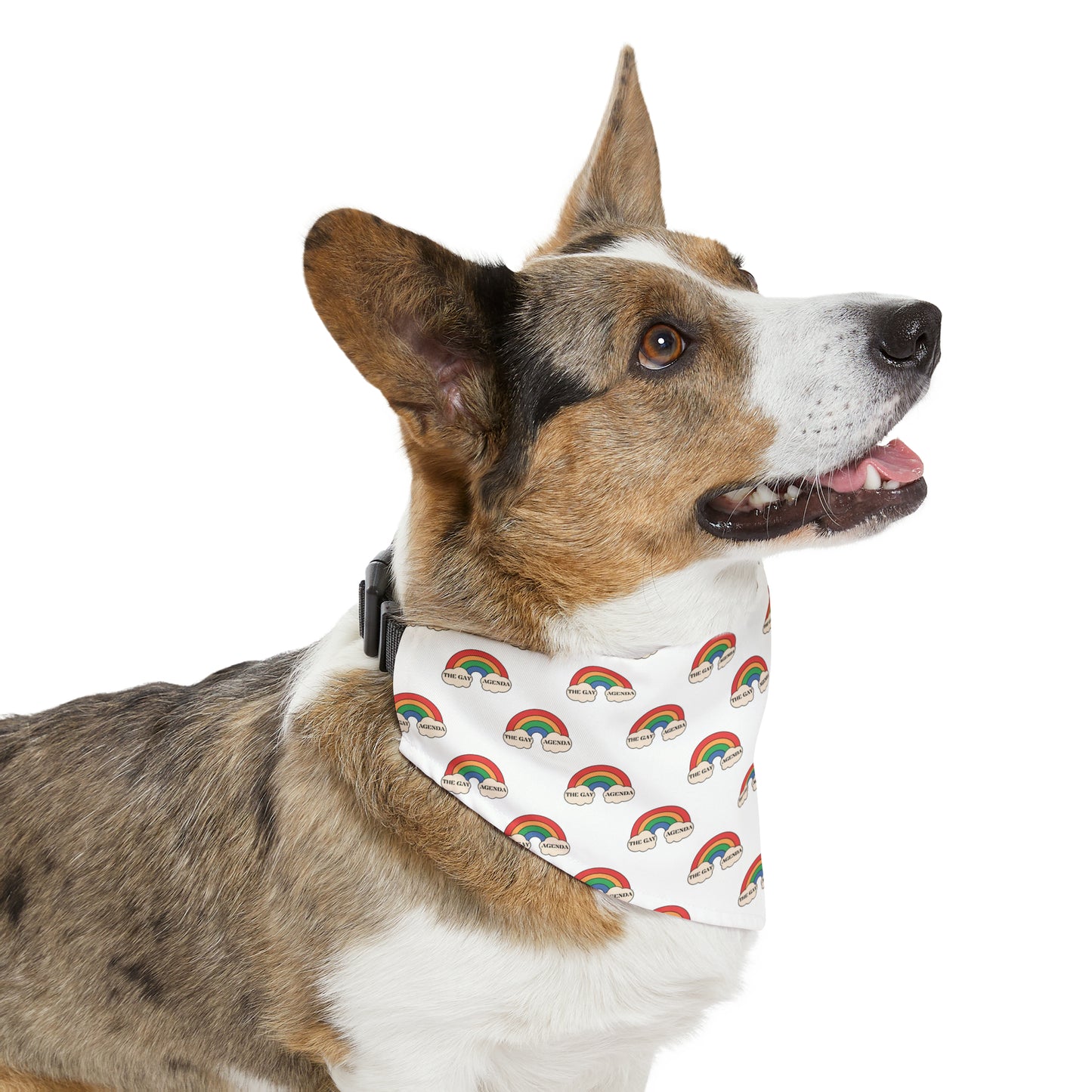 Gay Agenda Pet Bandana Collar