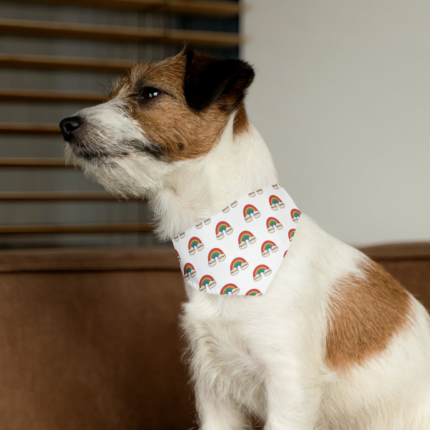 Gay Agenda Pet Bandana Collar