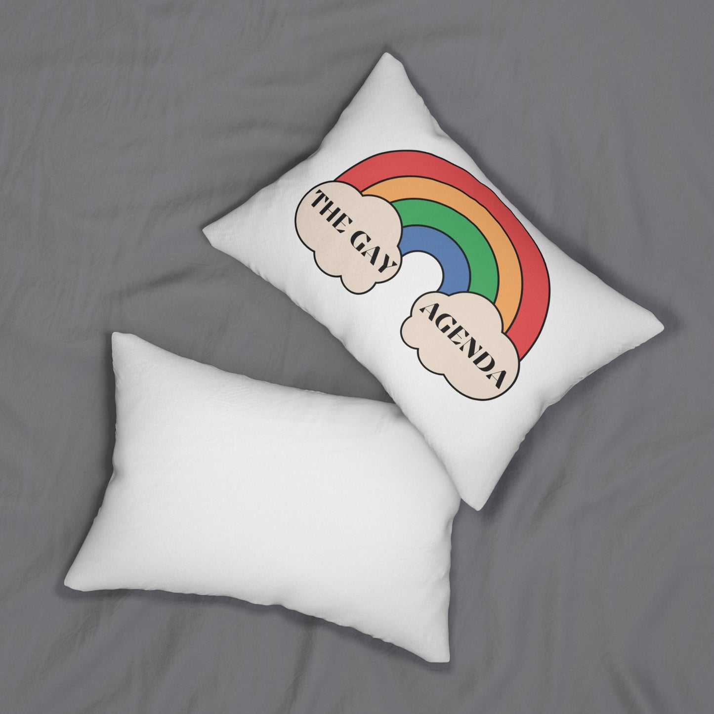 The Gay Agenda Pillow