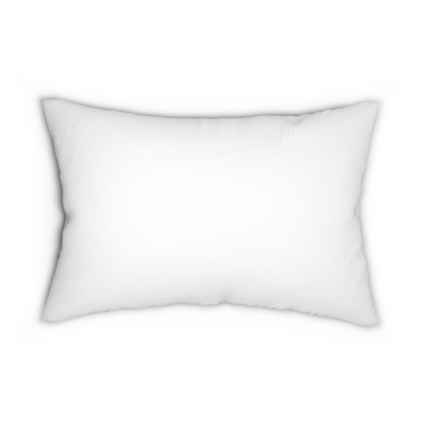 The Gay Agenda Pillow