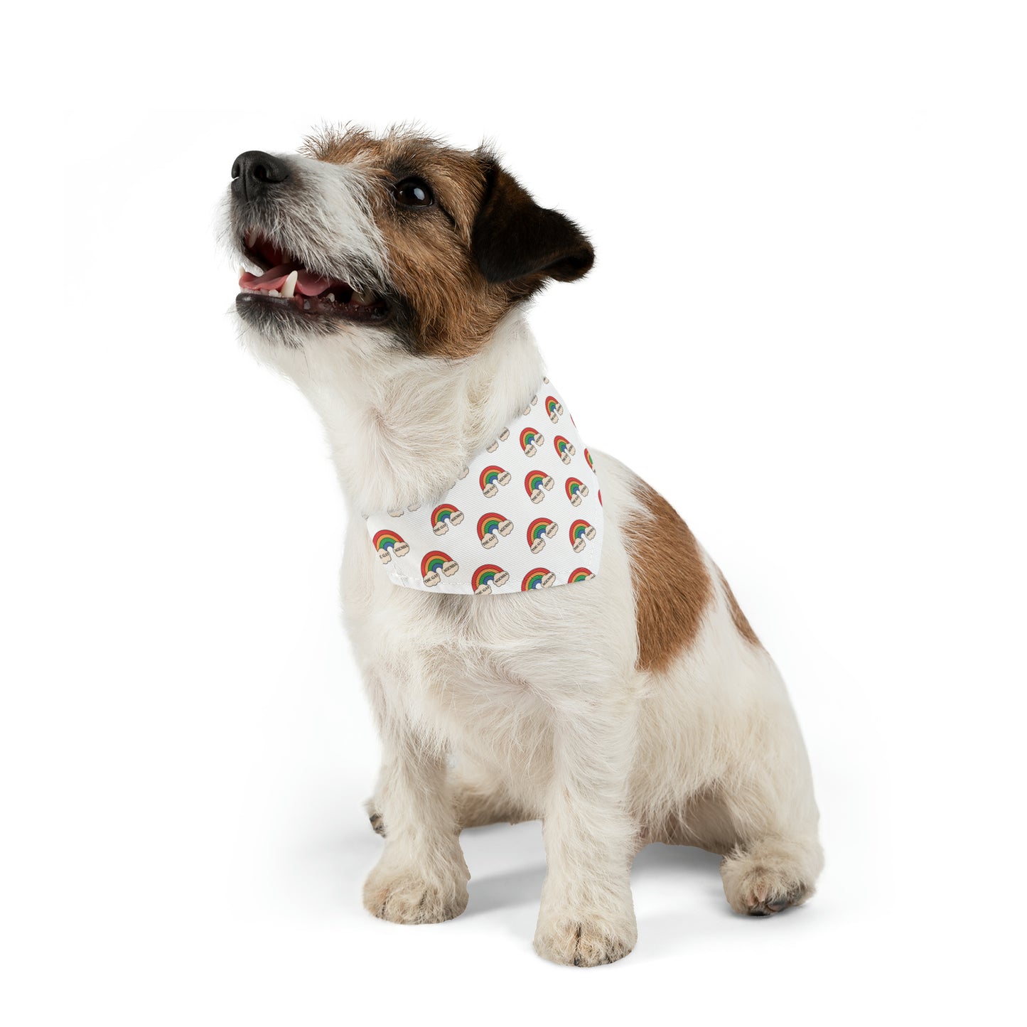 Gay Agenda Pet Bandana Collar