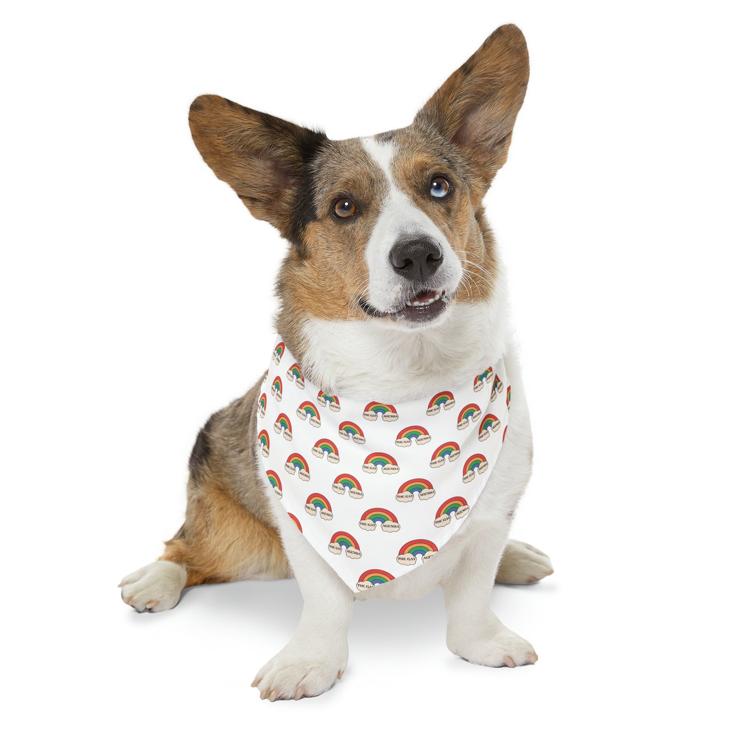 Gay Agenda Pet Bandana Collar