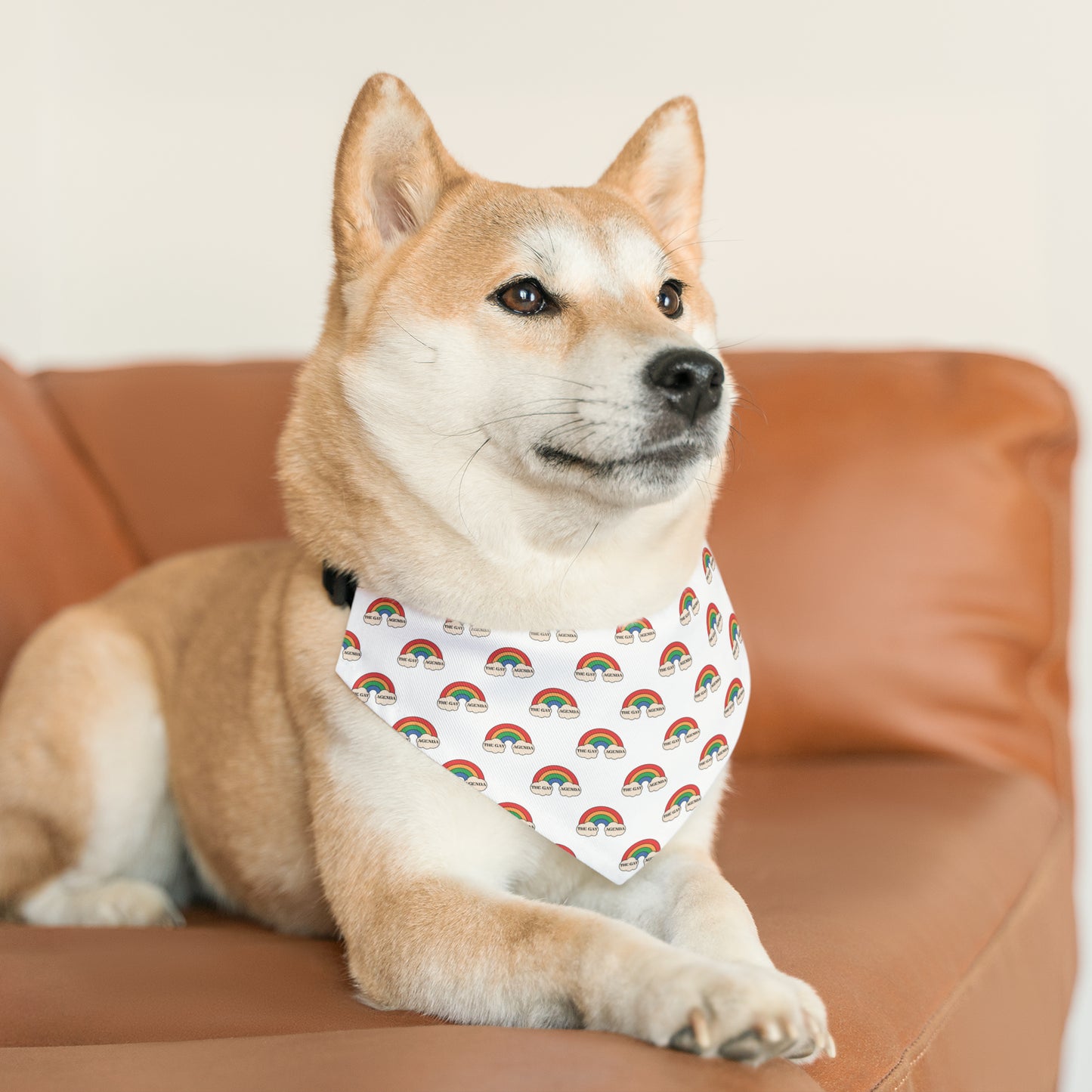 Gay Agenda Pet Bandana Collar